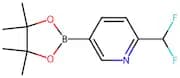 2-(Difluoromethyl)-5-(4,4,5,5-tetramethyl-1,3,2-dioxaborolan-2-yl)pyridine