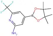 4-(4,4,5,5-Tetramethyl-1,3,2-dioxaborolan-2-yl)-6-(trifluoromethyl)pyridin-2-amine