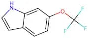 6-(Trifluoromethoxy)Indole