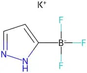Potassium 1H-Pyrazole-5-Trifluoroborate