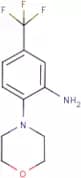 N-[2-Amino-4-(trifluoromethyl)phenyl]morpholine
