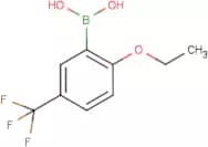 2-Ethoxy-5-(trifluoromethyl)benzeneboronic acid