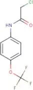 N-(Chloroacetyl)-4-(trifluoromethoxy)aniline
