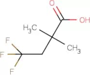 2,2-Dimethyl-4,4,4-trifluorobutanoic acid