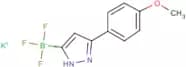 Potassium trifluoro(3-(4-methoxyphenyl)-1H-pyrazol-5-yl)borate