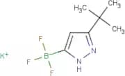 Potassium [3-(tert-butyl)-1H-pyrazol-5-yl]trifluoroborate