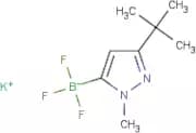 Potassium (3-(tert-butyl)-1-methyl-1H-pyrazol-5-yl)trifluoroborate