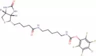 Pentafluorophenyl Biotinamidopentanoate