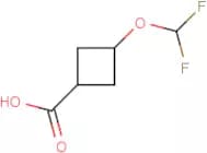 3-(Difluoromethoxy)cyclobutane-1-carboxylic acid