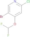 5-Bromo-2-chloro-4-(difluoromethoxy)pyridine