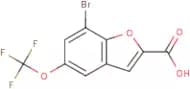 7-Bromo-5-(trifluoromethoxy)benzofuran-2-carboxylic acid