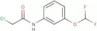 2-Chloro-N-[3-(difluoromethoxy)phenyl]acetamide