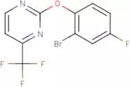 2-(2-Bromo-4-fluorophenoxy)-4-(trifluoromethyl)pyrimidine