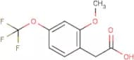 2-Methoxy-4-(trifluoromethoxy)phenylacetic acid