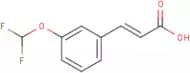 3-(Difluoromethoxy)cinnamic acid