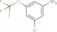 3-Chloro-5-(trifluoromethoxy)aniline