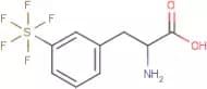 3-(Pentafluorosulfur)-DL-phenylalanine