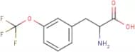 3-(Trifluoromethoxy)-DL-phenylalanine