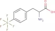 4-(Pentafluorosulfur)-DL-phenylalanine