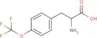 4-(Trifluoromethoxy)-DL-phenylalanine