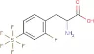 2-Fluoro-4-(pentafluorosulfur)-DL-phenylalanine