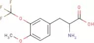 4-Methoxy-3-(trifluoromethoxy)-DL-phenylalanine