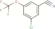 3-Chloro-5-(trifluoromethoxy)benzonitrile