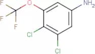 3,4-Dichloro-5-(trifluoromethoxy)aniline