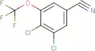 3,4-Dichloro-5-(trifluoromethoxy)benzonitrile