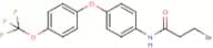 N-{4-[4-(trifluoromethoxy)phenoxy]phenyl}-3-bromopropanamide