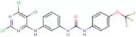 N-{3-[(2,5,6-trichloropyrimidin-4-yl)amino]phenyl}-N'-[4-(trifluoromethoxy)phenyl]urea