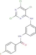 N1-{3-[(2,5,6-trichloropyrimidin-4-yl)amino]phenyl}-4-fluorobenzamide