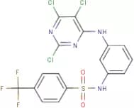 N1-{3-[(2,5,6-trichloropyrimidin-4-yl)amino]phenyl}-4-(trifluoromethyl)benzene-1-sulphonamide