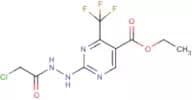 ethyl 2-[2-(2-chloroacetyl)hydrazino]-4-(trifluoromethyl)-5-pyrimidinecarboxylate