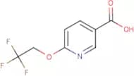 6-(2,2,2-Trifluoroethoxy)nicotinic acid