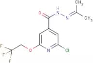 2-chloro-N'-(1-methylethylidene)-6-(2,2,2-trifluoroethoxy)isonicotinohydrazide