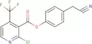 4-(Cyanomethyl)phenyl 2-chloro-4-(trifluoromethyl)nicotinate