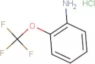 2-(trifluoromethoxy)aniline hydrochloride