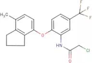 2-chloro-N-[2-[(7-methyl-2,3-dihydro-1H-inden-4-yl)oxy]-5-(trifluoromethyl)phenyl]acetamide