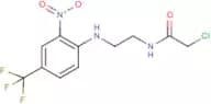 2-chloro-N-{2-[2-nitro-4-(trifluoromethyl)anilino]ethyl}acetamide