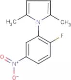 2,5-Dimethyl-1-(2-fluoro-5-nitrophenyl)-1H-pyrrole