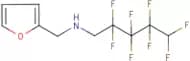 N1-(2-furylmethyl)-2,2,3,3,4,4,5,5-octafluoropentan-1-amine