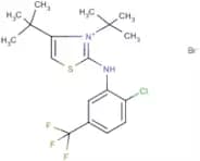 3,4-di(tert-butyl)-2-[2-chloro-5-(trifluoromethyl)anilino]-1,3-thiazol-3-ium bromide