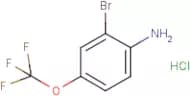 2-bromo-4-(trifluoromethoxy)aniline hydrochloride