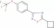 5-cyclobutyl-3-[4-(trifluoromethoxy)phenyl]-1,2,4-oxadiazole
