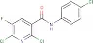 N-(4-Chlorophenyl)-2,6-dichloro-5-fluoronicotinamide