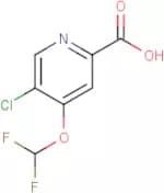 5-Chloro-4-(difluoromethoxy)pyridine-2-carboxylic acid