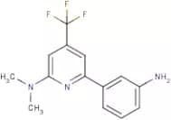 3-[2-(Dimethylamino)-4-(trifluoromethyl)pyridin-6-yl]aniline