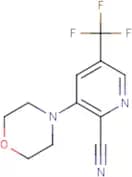 2-Cyano-3-(morpholin-4-yl)-5-(trifluoromethyl)pyridine