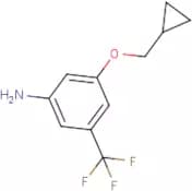 3-(Cyclopropylmethoxy)-5-(trifluoromethyl)aniline